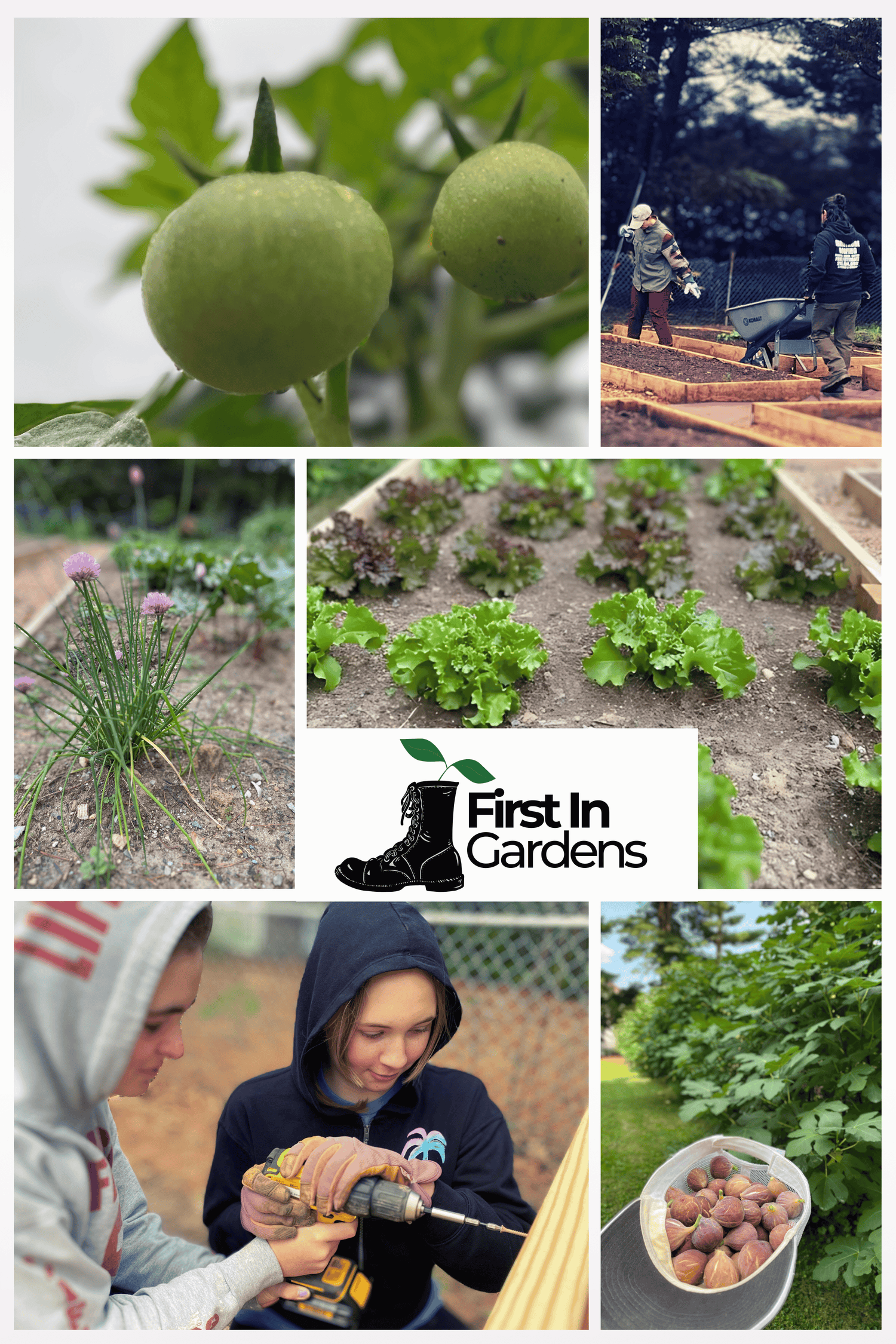 First In Gardens - Charitable Contribution