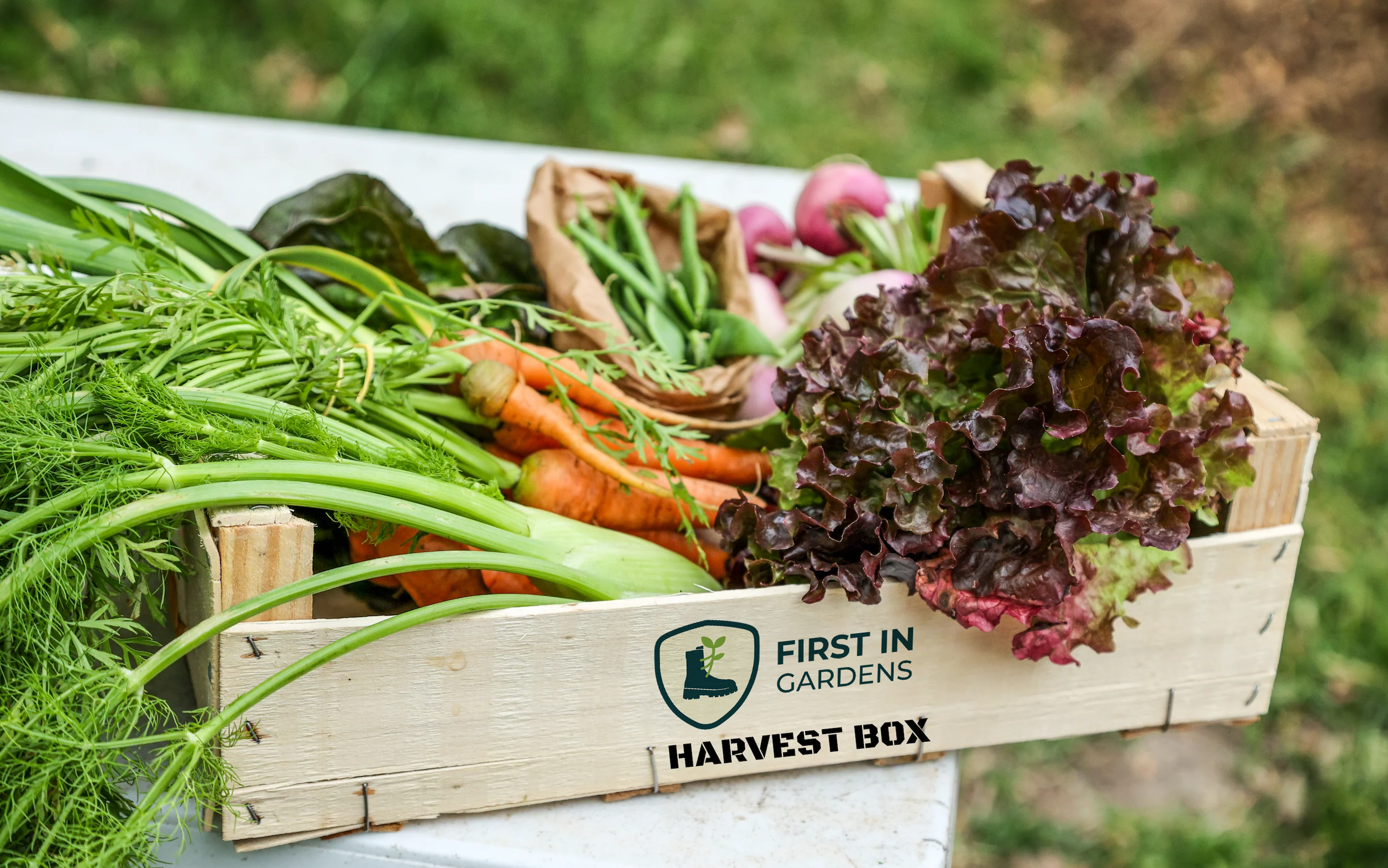 First In Gardens - Harvest Box