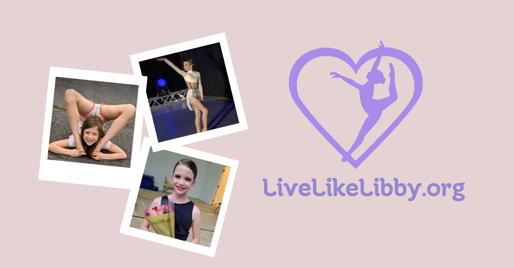 Live Like Libby - Charitable Contribution