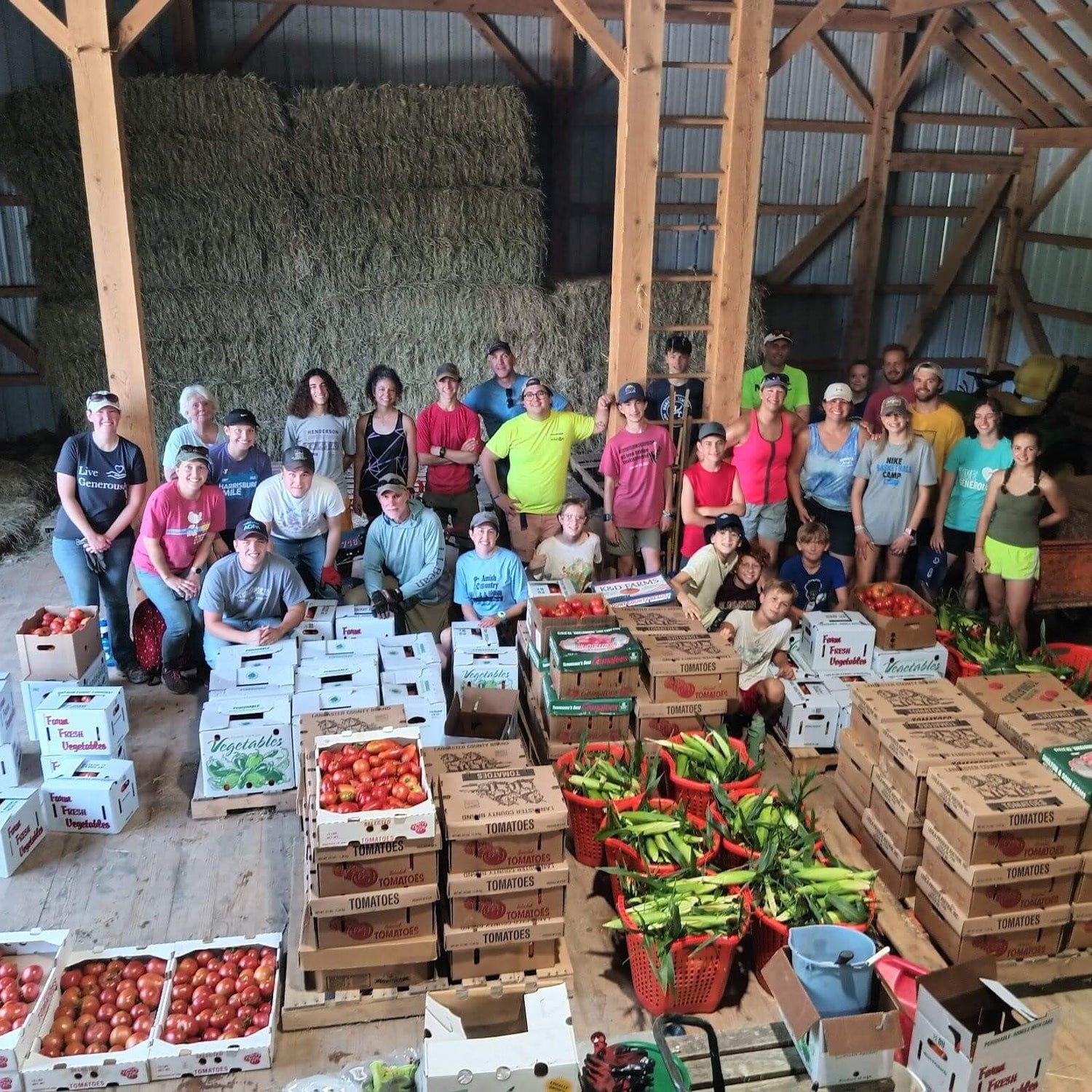 Wittel Farm - Chicken