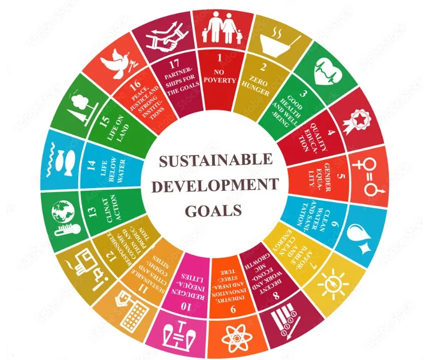 Human Rights Focus: Climate Change and the Environment