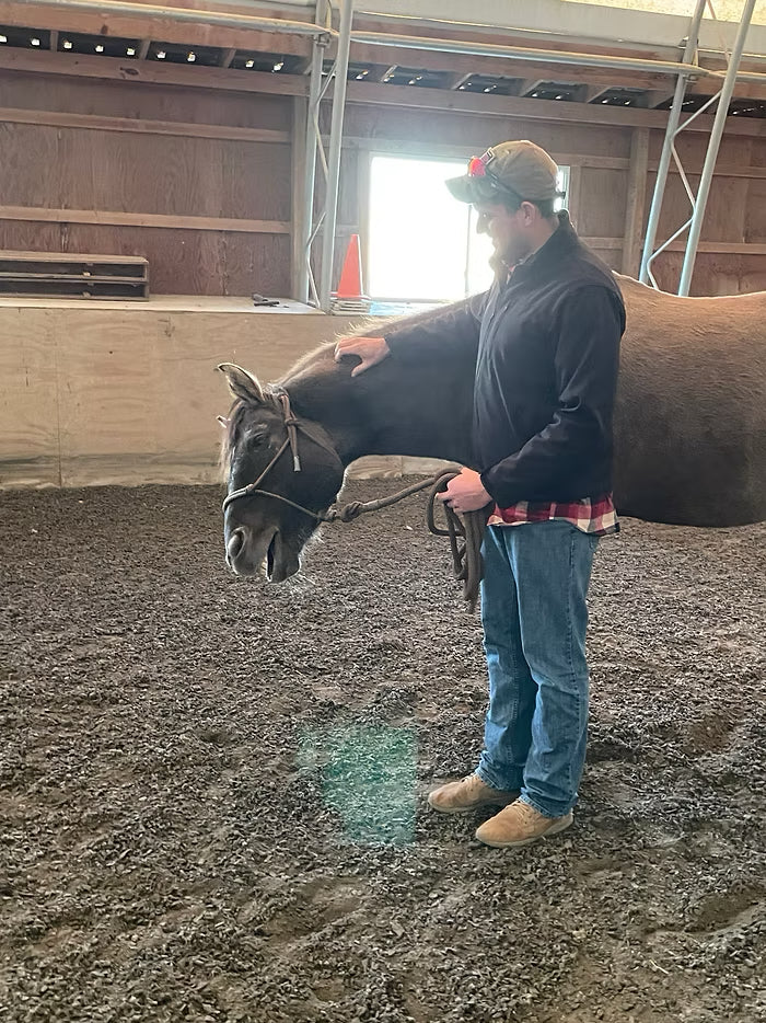 Honoring Service Through Healing: Lone Oak’s Horses & Heroes Program