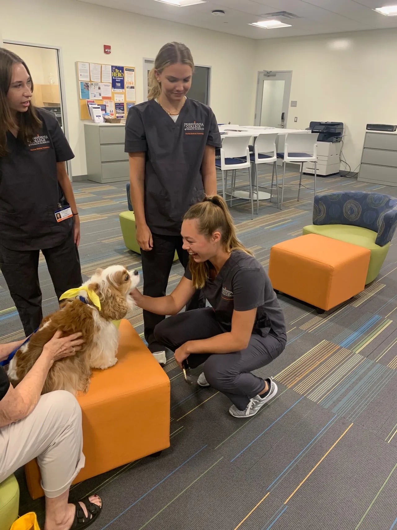 Touching Lives, Warming Hearts: Learn About KPETS!
