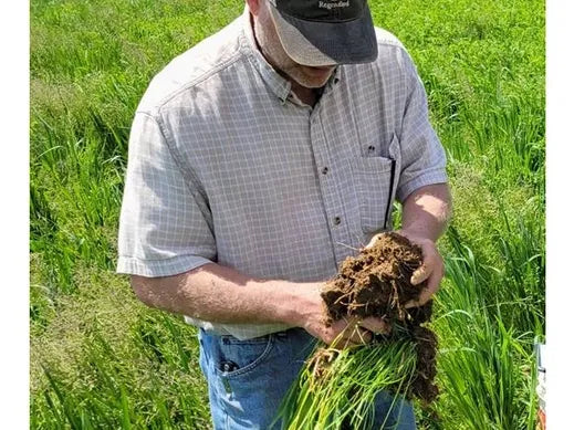 Why are Regenerative Practices Important?
