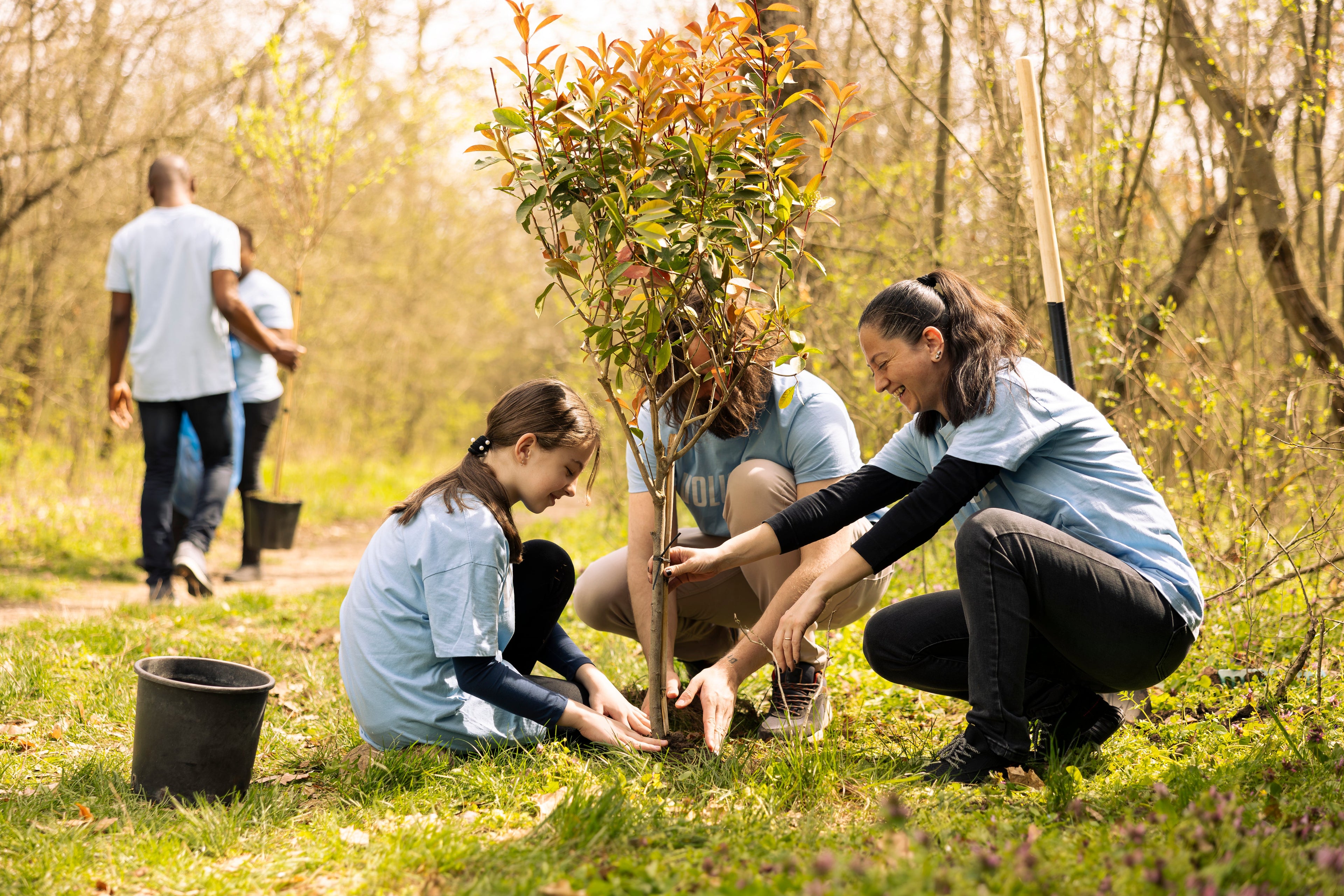 Caring for the Environment