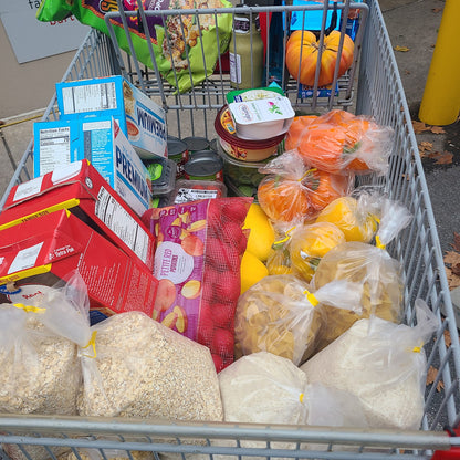 4 Girls On a Mission - Grocery Box