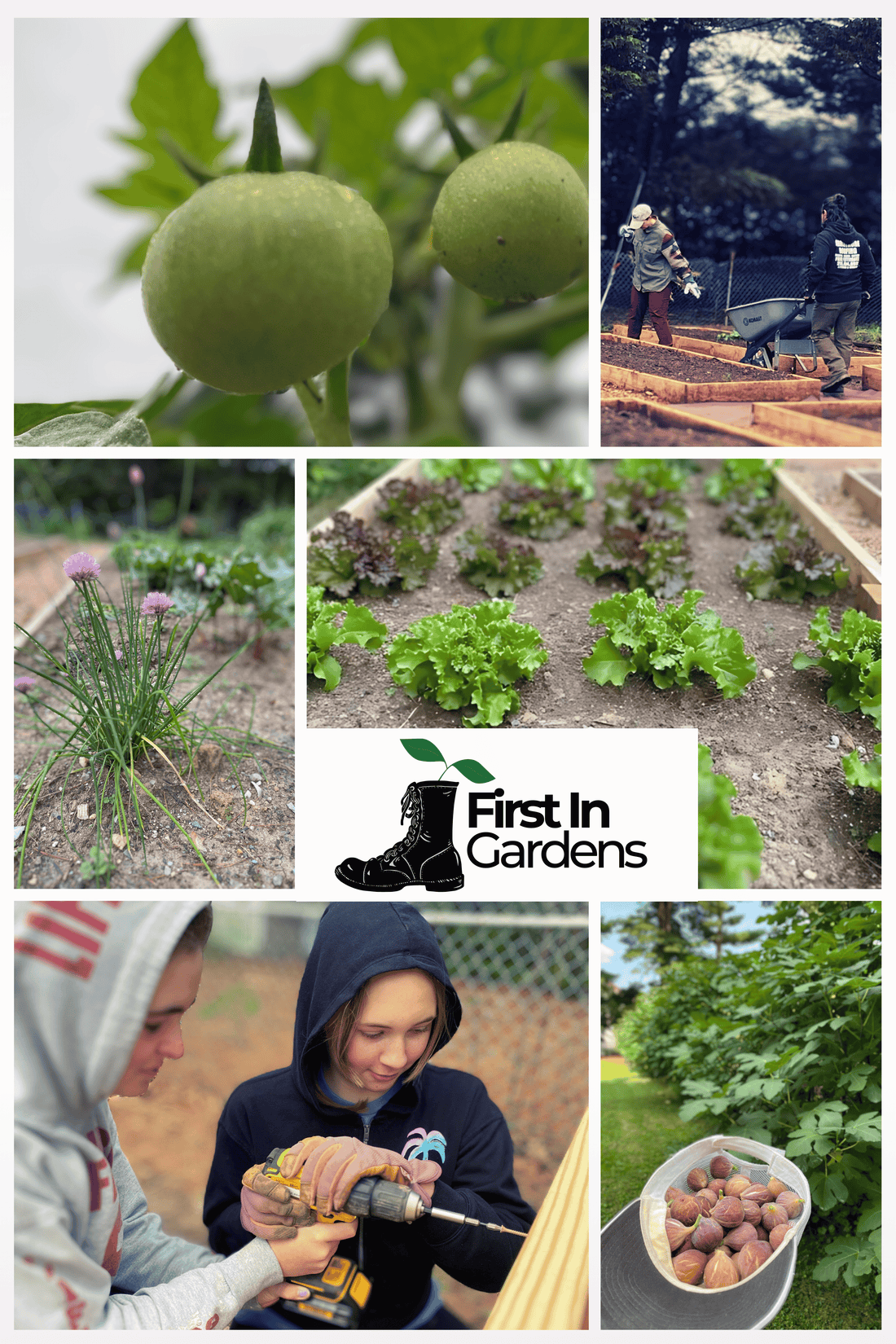 First In Gardens - Harvest Box