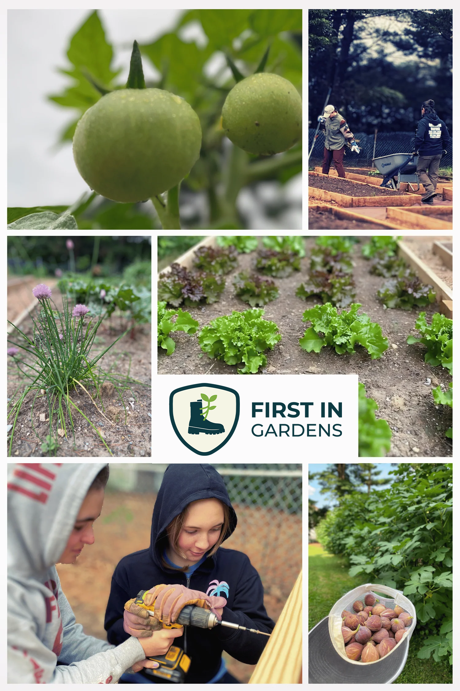 First In Gardens - Harvest Box