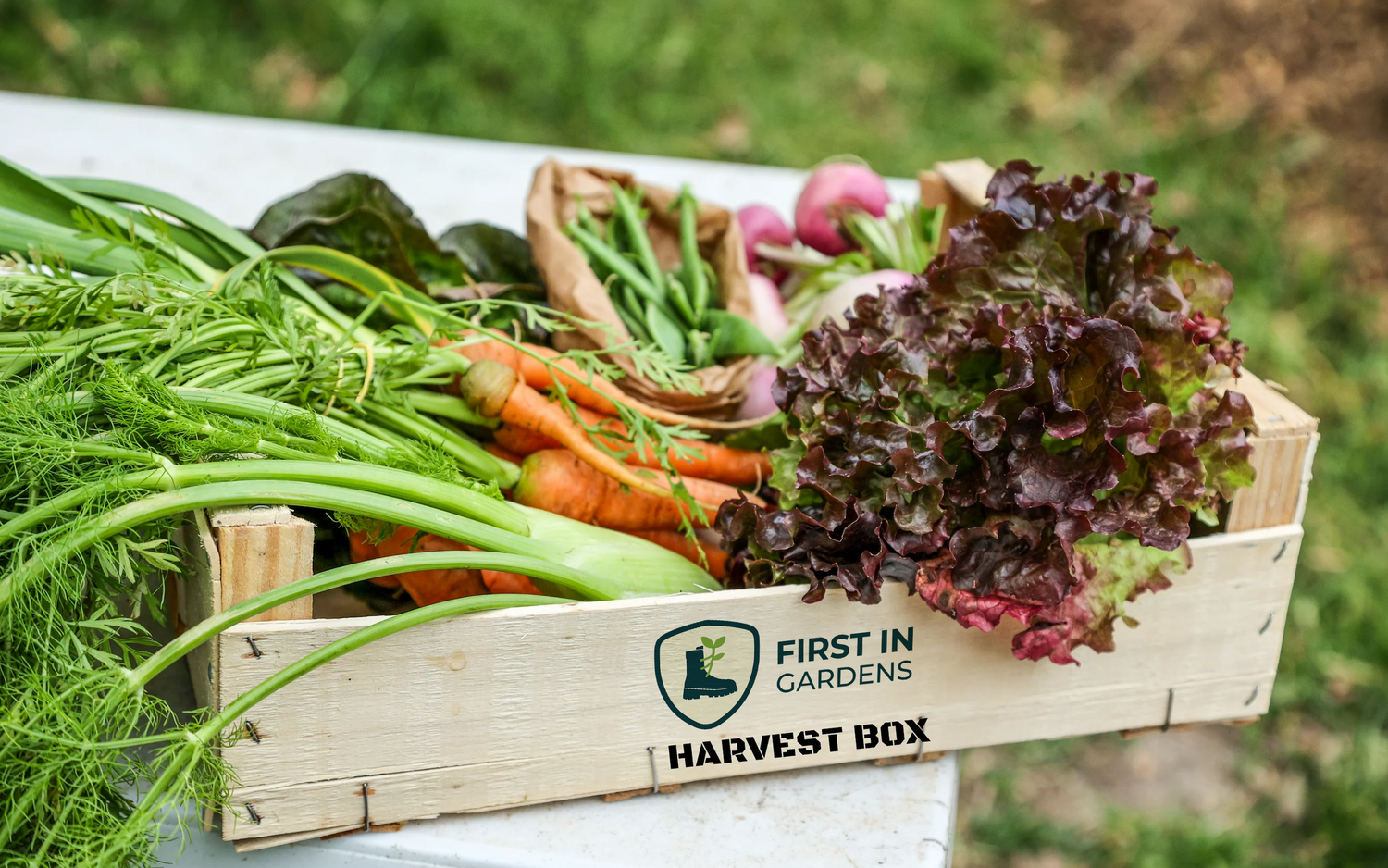 First In Gardens - Harvest Box