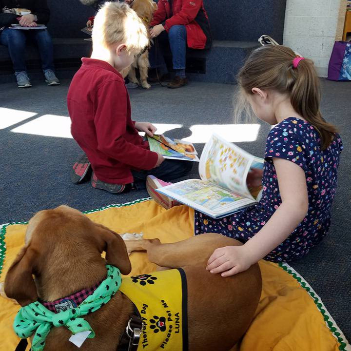 Keystone Pet Enhanced Therapy Services - Training For Therapy Dog & Handler