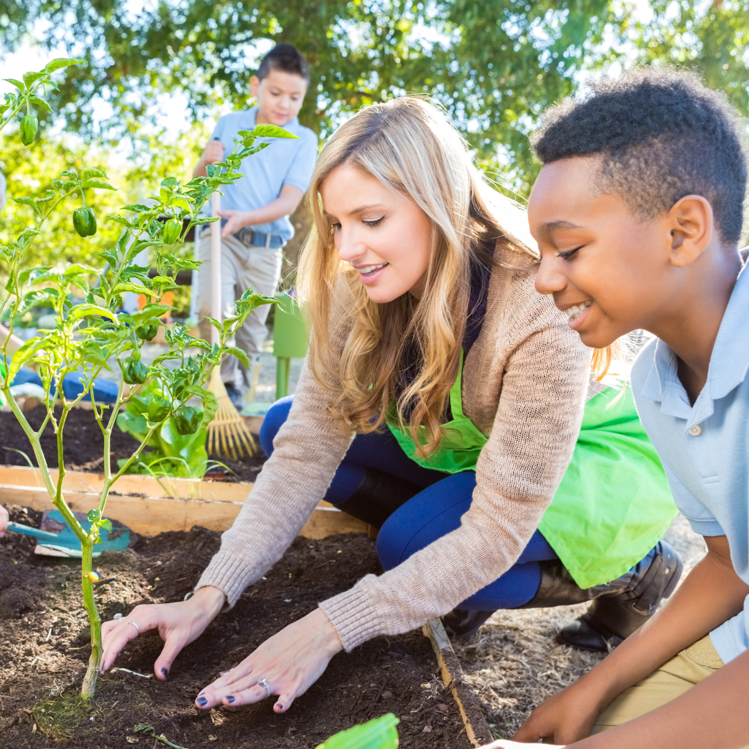 The Edible Classroom - Garden Educators