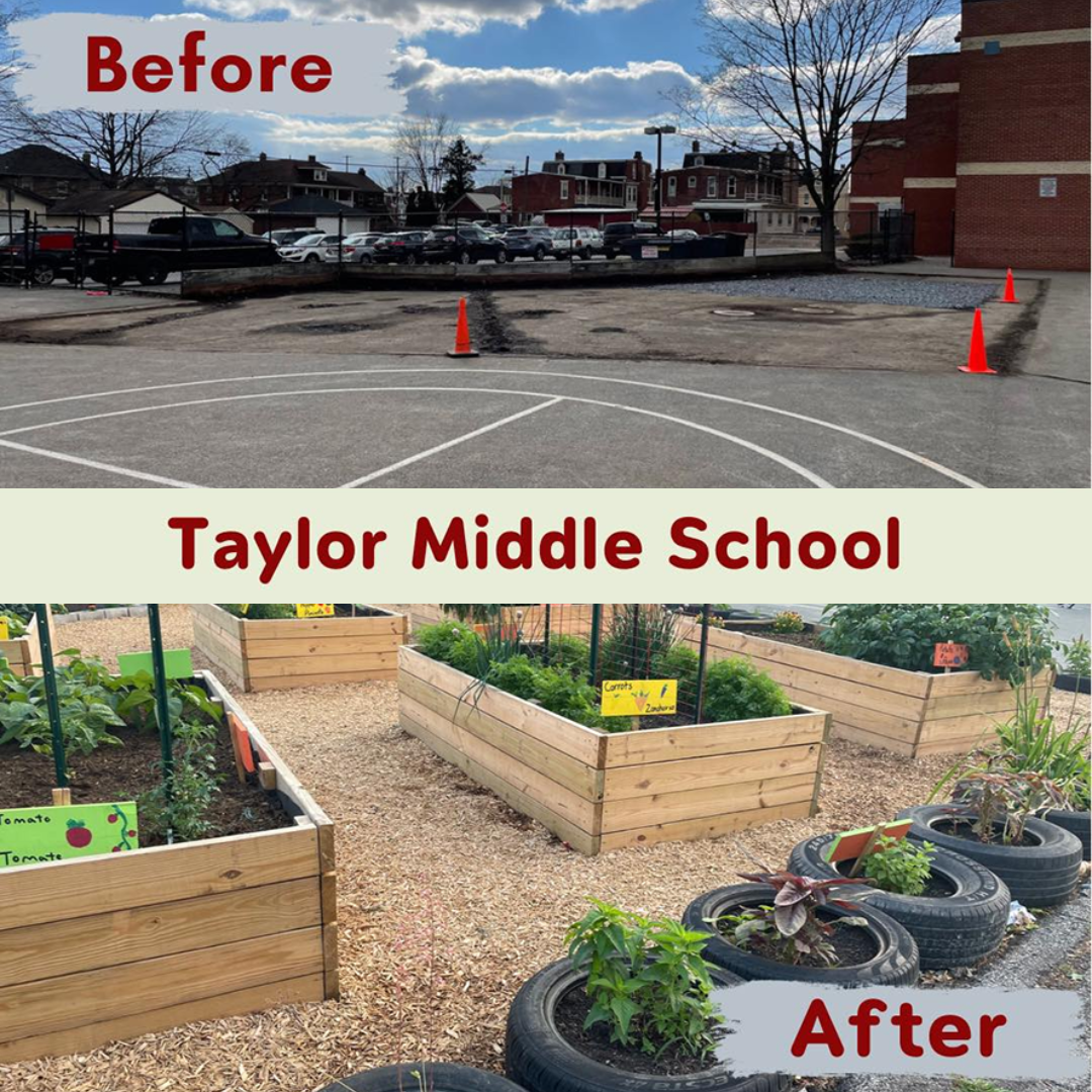 The Edible Classroom - Garden Start Up