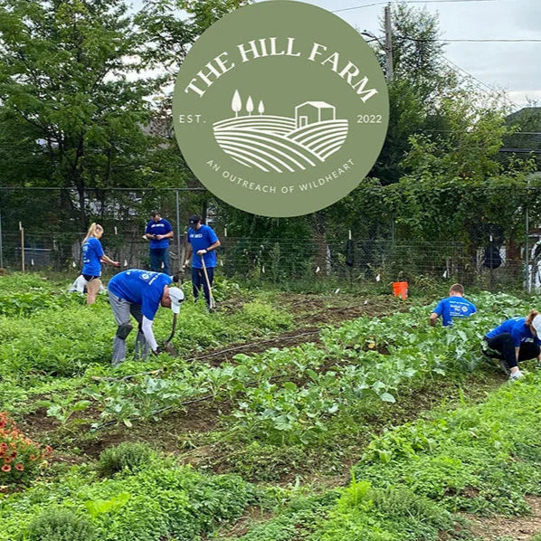 Wildheart - Hill Farm Project