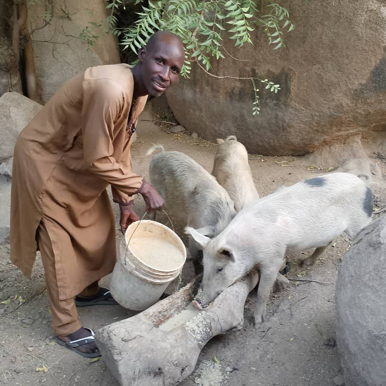 Barnabas Aid - Gift a Piglet