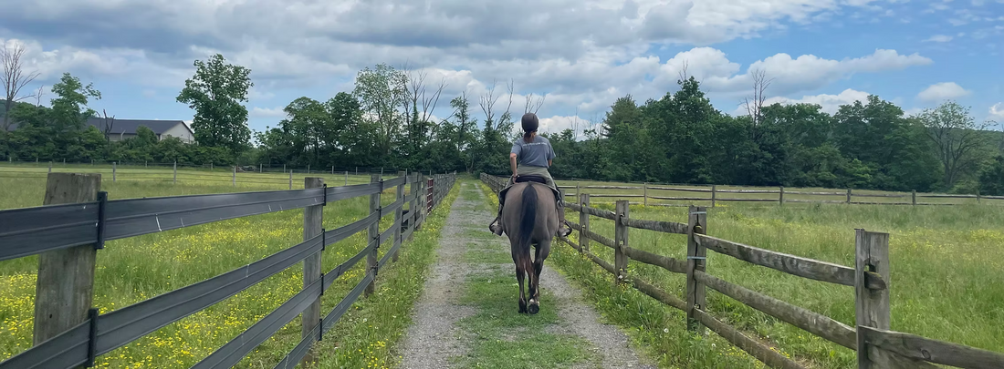 Lone Oak Animal-Assisted Therapeutic & Educational Services - Heroes